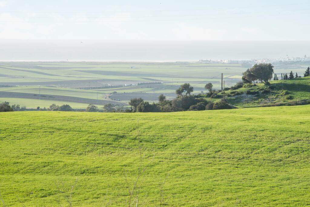 vistas 2